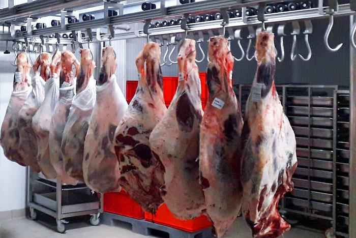 سردخانه زیر صفر جهت نگهداری گوشت